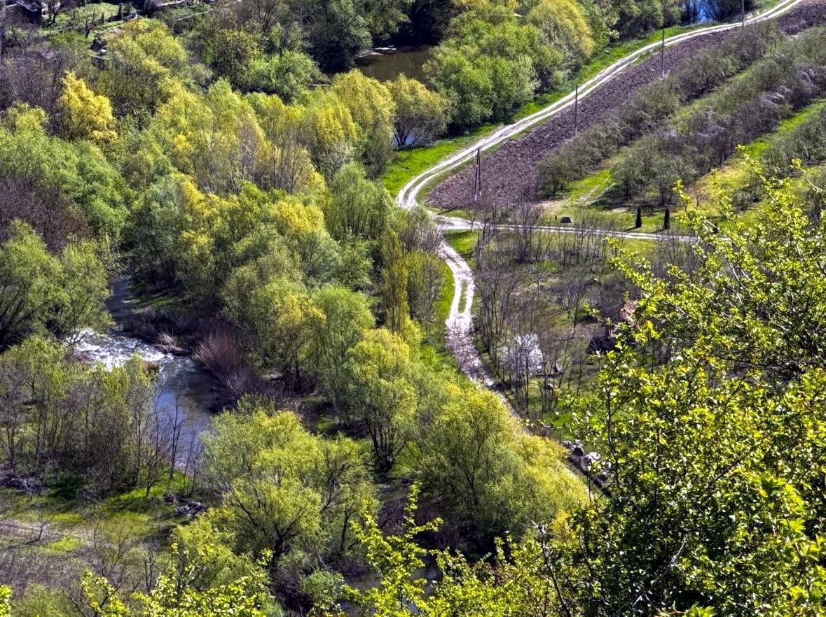 Defileul verde al Răutului